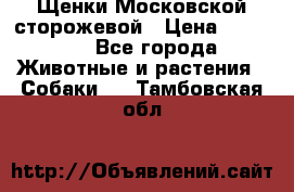 Щенки Московской сторожевой › Цена ­ 35 000 - Все города Животные и растения » Собаки   . Тамбовская обл.